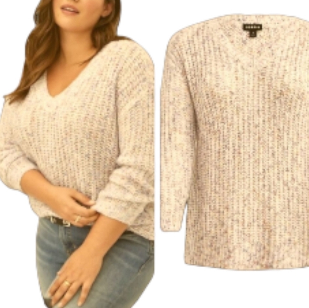 TORRID Plus Size Multi - Color Cozy thick  Pullover Sweater 1X